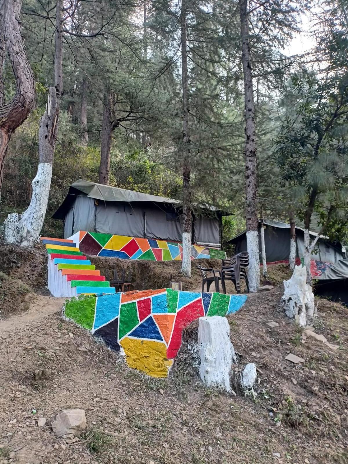 Jungle Stays Chail Dış mekan fotoğraf