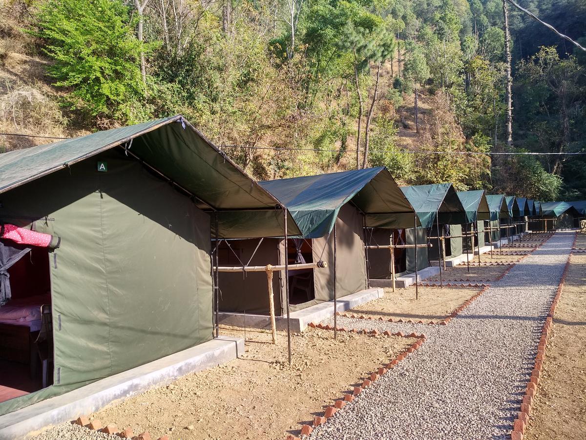 Jungle Stays Chail Dış mekan fotoğraf